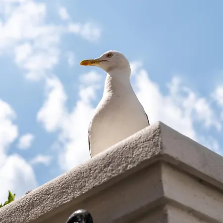 Апартамент Aristocratic 2bdrm *